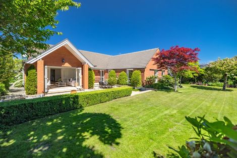 Photo of property in 43 Mcdougall Avenue, St Albans, Christchurch, 8014