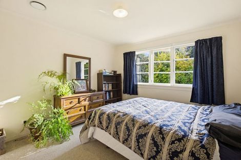 Photo of property in 172 Thorpe-orinoco Road, Ngatimoti, Motueka, 7196