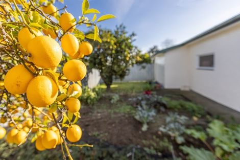 Photo of property in 18 Riverbend Road, Onekawa, Napier, 4110