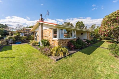 Photo of property in 61 Victoria Street, Waikino, Waihi, 3682
