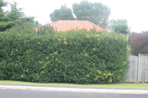 Photo of property in 34 Nile Road, Milford, Auckland, 0620
