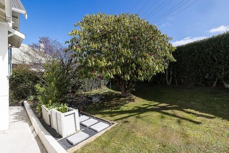 Photo of property in 55 Havelock Street, Mornington, Dunedin, 9011