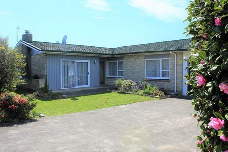 Photo of property in 38 Guy Street, Dannevirke, 4930