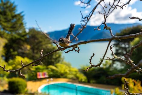 Photo of property in 259 Queen Charlotte Drive, Havelock, 7281