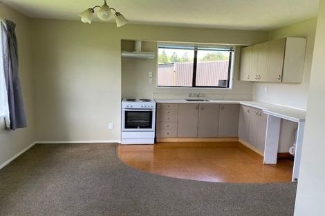 Photo of property in 39 Parnassus Street, Waiau, 7332