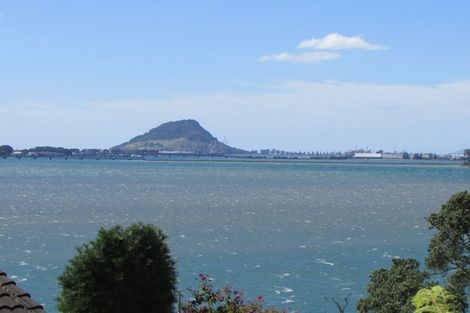 Photo of property in 266 Maungatapu Road, Maungatapu, Tauranga, 3112