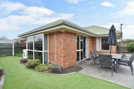 Photo of property in 31 Plunket Street, Spreydon, Christchurch, 8024