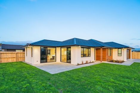 Photo of property in 239 Rangiuru Road, Otaki, 5512
