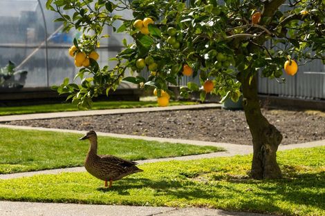 Photo of property in 71 Nelson Street, Springlands, Blenheim, 7201