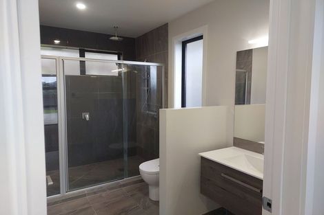 Photo of property in 17 Santiago Place, Flagstaff, Hamilton, 3210