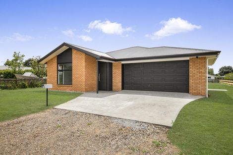 Photo of property in 17 Coolen Place, Tuakau, 2121