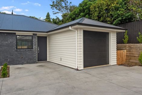Photo of property in 7u7 Corrin Street, Melville, Hamilton, 3206