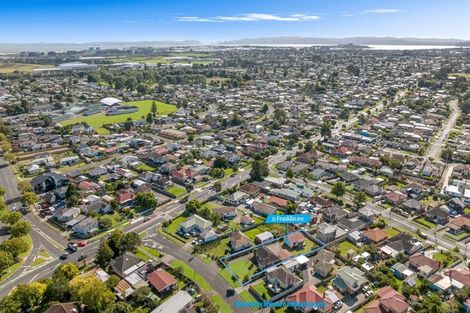 Photo of property in 21 Franklin Avenue, Papatoetoe, Auckland, 2024