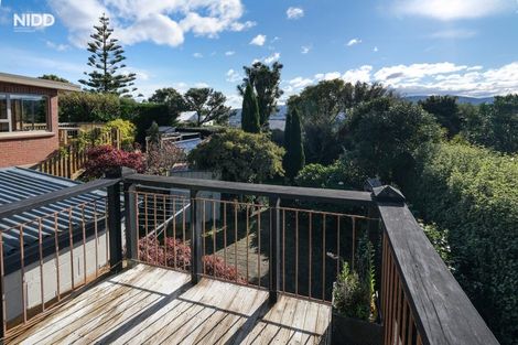 Photo of property in 65 Hunt Street, Andersons Bay, Dunedin, 9013