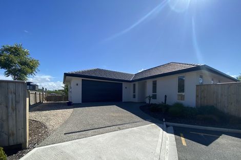 Photo of property in 8 Mellifera Place, Richmond, 7020