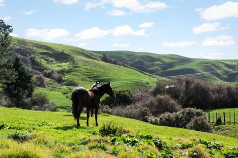 Photo of property in 217 Golden Valley Road, Waihi, 3681