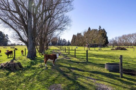 Photo of property in 386 Marshmeadow Road, Newstead, Hamilton, 3286