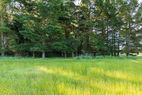 Photo of property in 192 Yeomans Road, Darfield, 7571