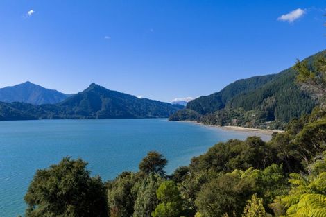 Photo of property in 650 Kenepuru Road, Mahau Sound, Picton, 7282