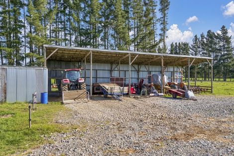 Photo of property in 185 Worlingham Road, Eyrewell, Rangiora, 7476
