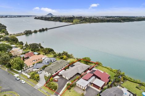Photo of property in 89 Te Hono Street, Maungatapu, Tauranga, 3112
