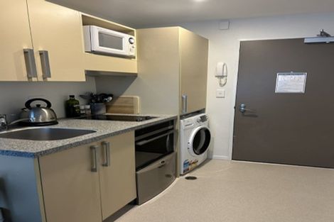 Photo of property in Dual Apartments, 108/142u Vivian Street, Te Aro, Wellington, 6011