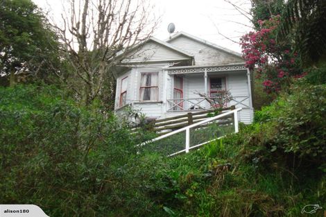Photo of property in 13 Mortimer Terrace, Aro Valley, Wellington, 6021