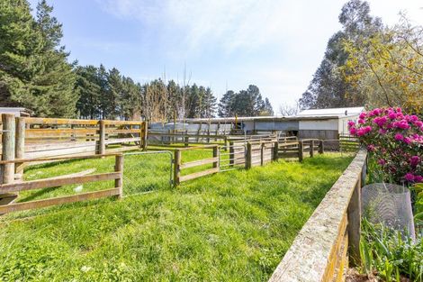 Photo of property in 56 Upper Manaia Road, Upper Plain, Masterton, 5888