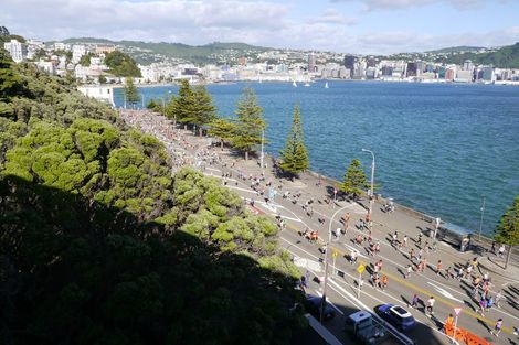 Photo of property in The Capital, 26/370 Oriental Parade, Oriental Bay, Wellington, 6011