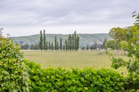 Photo of property in 31 Reading Street, Greytown, 5712