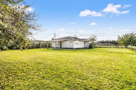 Photo of property in 55 Wilson Street, Waverley, 4510