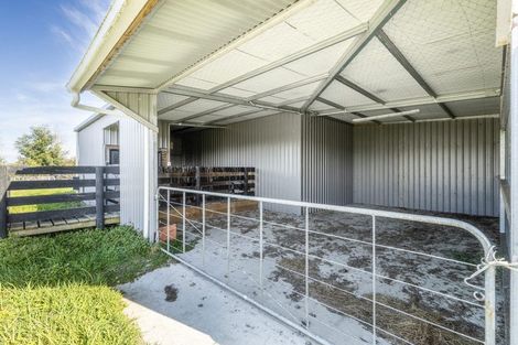 Photo of property in 255 Calico Line, Marton, 4787