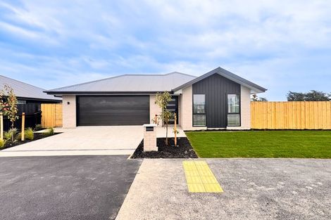 Photo of property in 7 Potters Place, Elgin, 7772