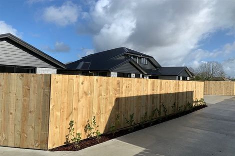 Photo of property in 23u2 Ross Crescent, Fairfield, Hamilton, 3214