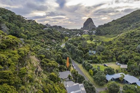 Photo of property in 39 Glenesk Road, Piha, New Lynn, 0772