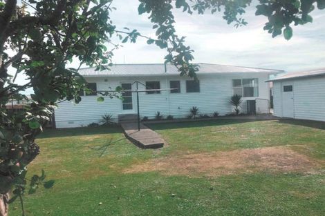 Photo of property in 12 Vogel Street, Levin, 5510