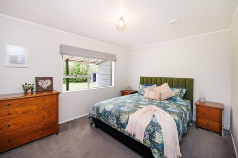 Photo of property in 27 Ferndale Place, Feilding, 4702