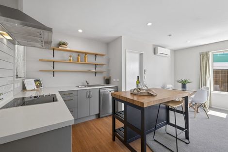 Photo of property in 52 Thackeray Place, Waltham, Christchurch, 8023
