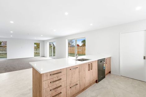 Photo of property in 30e Woodville Street, Leeston, 7632