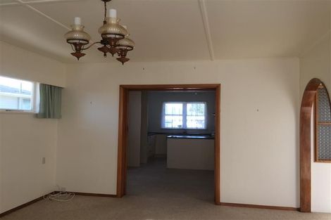 Photo of property in 45 Graham Street, Levin, 5510