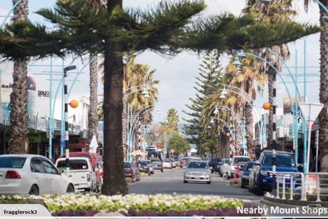 Photo of property in 29d Miro Street, Mount Maunganui, 3116