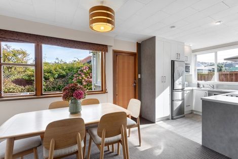 Photo of property in 120 Hargest Crescent, Saint Clair, Dunedin, 9012