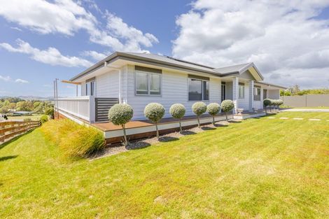 Photo of property in 205 Porangahau Road, Waipukurau, 4200