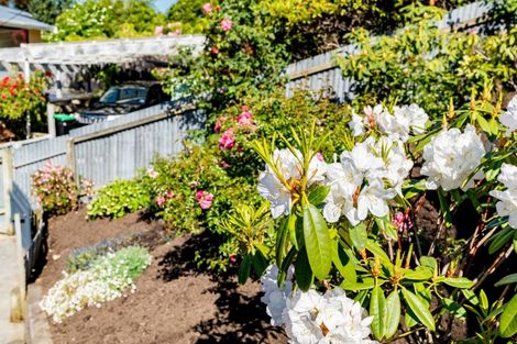 Photo of property in 34 Moana Crescent, Musselburgh, Dunedin, 9013