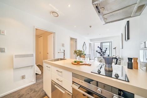 Photo of property in Soho Apartments, 313/74 Taranaki Street, Te Aro, Wellington, 6011