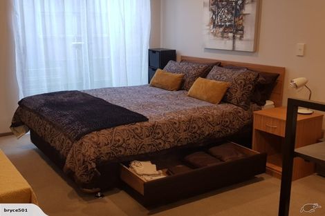 Photo of property in Dual Apartments, 108/142u Vivian Street, Te Aro, Wellington, 6011