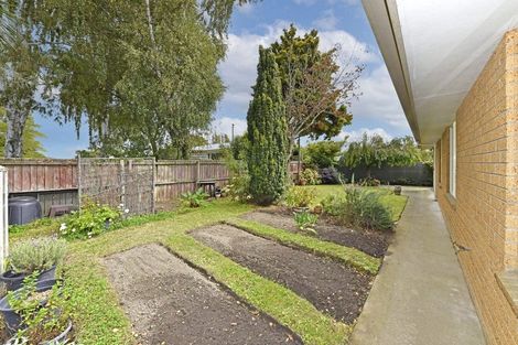 Photo of property in 87 Selwyn Street, Somerfield, Christchurch, 8024