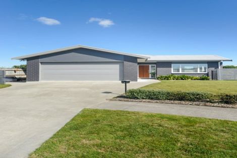Photo of property in 13 Cherry Place, Feilding, 4702