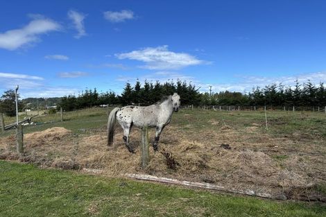 Photo of property in 10 Perth Street, Waikouaiti, 9510