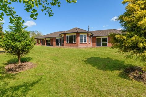 Photo of property in 407 Youngson Road, Whakamarama, Tauranga, 3179